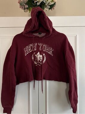 wild fable Maroon Pullover Sweatshirt
